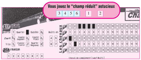 Vous jouez le champ r&eacute;duit astucieux